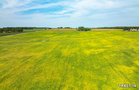 Property photo 46 - LAND AUCTION - 401+/-ACRES OFFERED IN 17 TRACTS IN NOBLE COUNTY, INDIANA