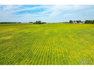 Property photo 47 - LAND AUCTION - 401+/-ACRES OFFERED IN 17 TRACTS IN NOBLE COUNTY, INDIANA