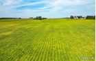 Property photo 47 - LAND AUCTION - 401+/-ACRES OFFERED IN 17 TRACTS IN NOBLE COUNTY, INDIANA