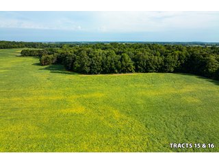 Property photo 55 - LAND AUCTION - 401+/-ACRES OFFERED IN 17 TRACTS IN NOBLE COUNTY, INDIANA