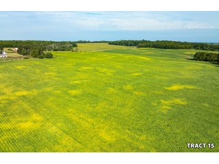 Property photo 53 - LAND AUCTION - 401+/-ACRES OFFERED IN 17 TRACTS IN NOBLE COUNTY, INDIANA