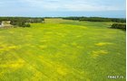Property photo 53 - LAND AUCTION - 401+/-ACRES OFFERED IN 17 TRACTS IN NOBLE COUNTY, INDIANA