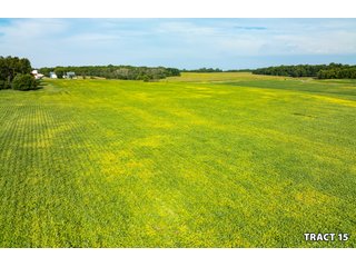 Property photo 54 - LAND AUCTION - 401+/-ACRES OFFERED IN 17 TRACTS IN NOBLE COUNTY, INDIANA