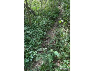 Property photo 66 - LAND AUCTION - 401+/-ACRES OFFERED IN 17 TRACTS IN NOBLE COUNTY, INDIANA