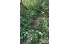 Property photo 66 - LAND AUCTION - 401+/-ACRES OFFERED IN 17 TRACTS IN NOBLE COUNTY, INDIANA