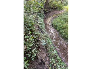 Property photo 68 - LAND AUCTION - 401+/-ACRES OFFERED IN 17 TRACTS IN NOBLE COUNTY, INDIANA