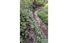 Property photo 68 - LAND AUCTION - 401+/-ACRES OFFERED IN 17 TRACTS IN NOBLE COUNTY, INDIANA