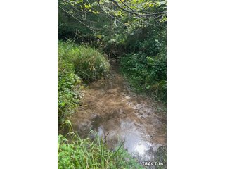 Property photo 57 - LAND AUCTION - 401+/-ACRES OFFERED IN 17 TRACTS IN NOBLE COUNTY, INDIANA