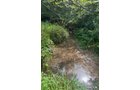 Property photo 57 - LAND AUCTION - 401+/-ACRES OFFERED IN 17 TRACTS IN NOBLE COUNTY, INDIANA