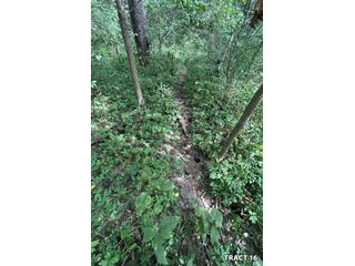 Property photo 58 - LAND AUCTION - 401+/-ACRES OFFERED IN 17 TRACTS IN NOBLE COUNTY, INDIANA