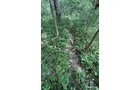 Property photo 58 - LAND AUCTION - 401+/-ACRES OFFERED IN 17 TRACTS IN NOBLE COUNTY, INDIANA
