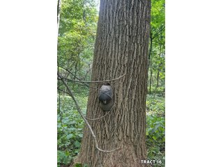 Property photo 61 - LAND AUCTION - 401+/-ACRES OFFERED IN 17 TRACTS IN NOBLE COUNTY, INDIANA