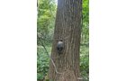 Property photo 61 - LAND AUCTION - 401+/-ACRES OFFERED IN 17 TRACTS IN NOBLE COUNTY, INDIANA