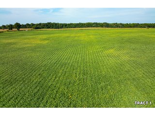 Property photo 2 - LAND AUCTION - 401+/-ACRES OFFERED IN 17 TRACTS IN NOBLE COUNTY, INDIANA