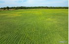 Property photo 2 - LAND AUCTION - 401+/-ACRES OFFERED IN 17 TRACTS IN NOBLE COUNTY, INDIANA