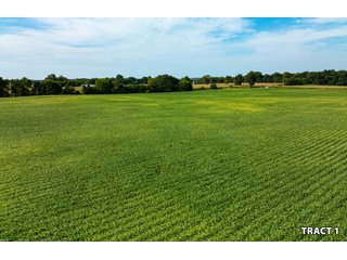 Property photo 3 - LAND AUCTION - 401+/-ACRES OFFERED IN 17 TRACTS IN NOBLE COUNTY, INDIANA