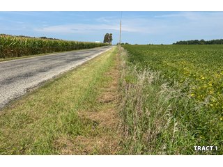 Property photo 4 - LAND AUCTION - 401+/-ACRES OFFERED IN 17 TRACTS IN NOBLE COUNTY, INDIANA
