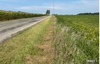 Property photo 4 - LAND AUCTION - 401+/-ACRES OFFERED IN 17 TRACTS IN NOBLE COUNTY, INDIANA
