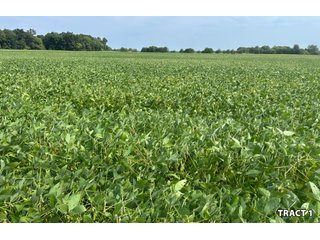 Property photo 5 - LAND AUCTION - 401+/-ACRES OFFERED IN 17 TRACTS IN NOBLE COUNTY, INDIANA