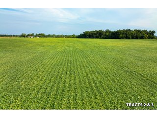 Property photo 14 - LAND AUCTION - 401+/-ACRES OFFERED IN 17 TRACTS IN NOBLE COUNTY, INDIANA
