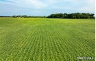 Property photo 14 - LAND AUCTION - 401+/-ACRES OFFERED IN 17 TRACTS IN NOBLE COUNTY, INDIANA
