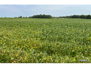 Property photo 12 - LAND AUCTION - 401+/-ACRES OFFERED IN 17 TRACTS IN NOBLE COUNTY, INDIANA