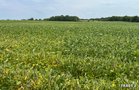 Property photo 12 - LAND AUCTION - 401+/-ACRES OFFERED IN 17 TRACTS IN NOBLE COUNTY, INDIANA