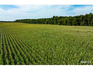Property photo 16 - LAND AUCTION - 401+/-ACRES OFFERED IN 17 TRACTS IN NOBLE COUNTY, INDIANA