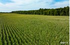 Property photo 16 - LAND AUCTION - 401+/-ACRES OFFERED IN 17 TRACTS IN NOBLE COUNTY, INDIANA