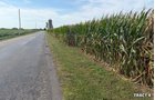 Property photo 17 - LAND AUCTION - 401+/-ACRES OFFERED IN 17 TRACTS IN NOBLE COUNTY, INDIANA