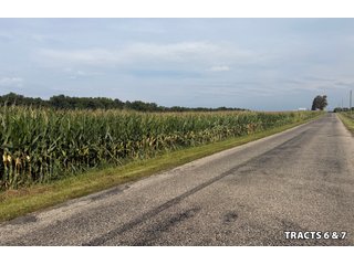 Property photo 26 - LAND AUCTION - 401+/-ACRES OFFERED IN 17 TRACTS IN NOBLE COUNTY, INDIANA