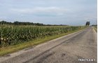 Property photo 26 - LAND AUCTION - 401+/-ACRES OFFERED IN 17 TRACTS IN NOBLE COUNTY, INDIANA