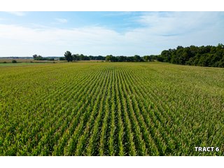 Property photo 22 - LAND AUCTION - 401+/-ACRES OFFERED IN 17 TRACTS IN NOBLE COUNTY, INDIANA