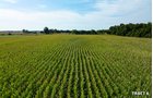 Property photo 22 - LAND AUCTION - 401+/-ACRES OFFERED IN 17 TRACTS IN NOBLE COUNTY, INDIANA