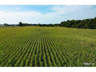 Property photo 23 - LAND AUCTION - 401+/-ACRES OFFERED IN 17 TRACTS IN NOBLE COUNTY, INDIANA