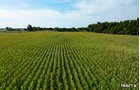 Property photo 23 - LAND AUCTION - 401+/-ACRES OFFERED IN 17 TRACTS IN NOBLE COUNTY, INDIANA