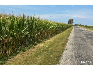 Property photo 24 - LAND AUCTION - 401+/-ACRES OFFERED IN 17 TRACTS IN NOBLE COUNTY, INDIANA