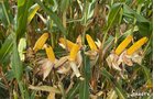 Property photo 25 - LAND AUCTION - 401+/-ACRES OFFERED IN 17 TRACTS IN NOBLE COUNTY, INDIANA