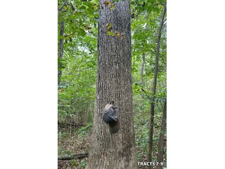 Property photo 30 - LAND AUCTION - 401+/-ACRES OFFERED IN 17 TRACTS IN NOBLE COUNTY, INDIANA