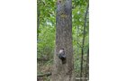 Property photo 30 - LAND AUCTION - 401+/-ACRES OFFERED IN 17 TRACTS IN NOBLE COUNTY, INDIANA