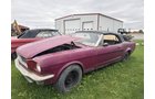 Property photo 5 - TIMED ONLINE ONLY PERSONAL PROPERTY AUCTION IN WILLIAMS COUNTY, OHIO