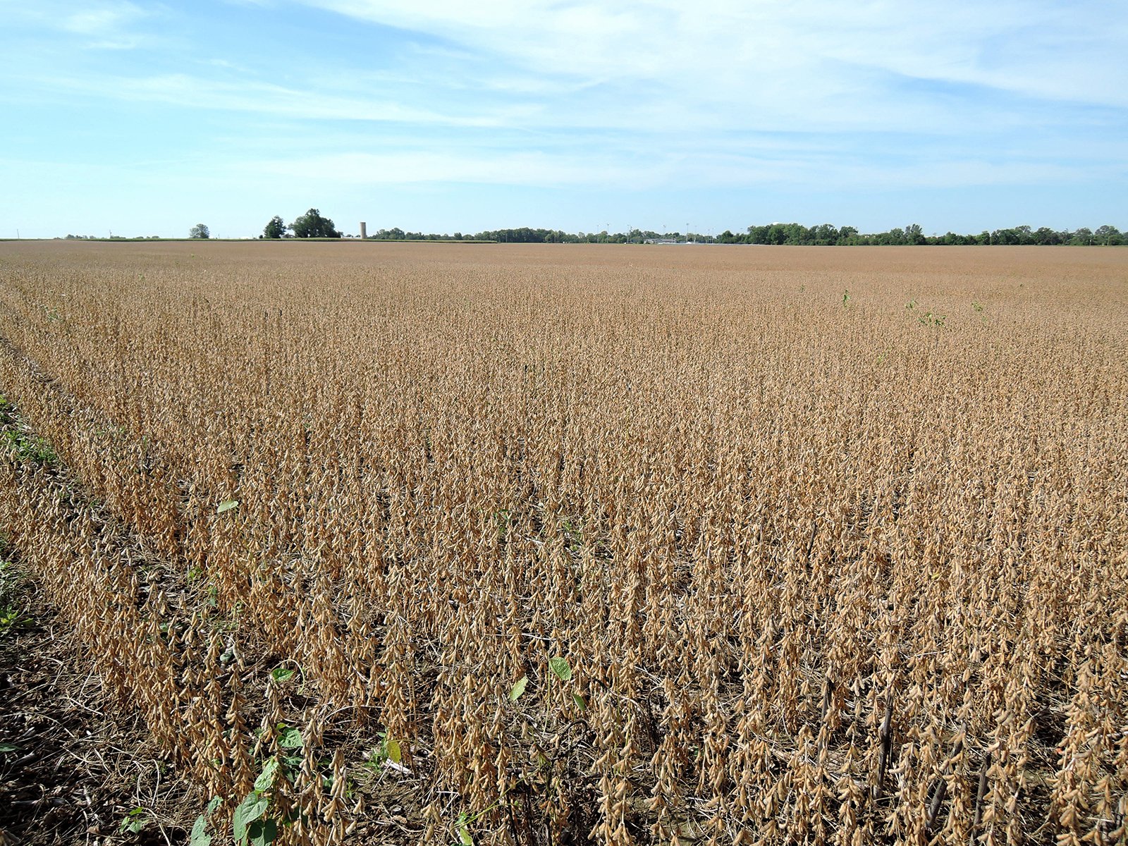 Property photo 35 - LAND AUCTION - 269.6+/-ACRES OFFERED IN 5 TRACTS IN MADISON COUNTY, INDIANA