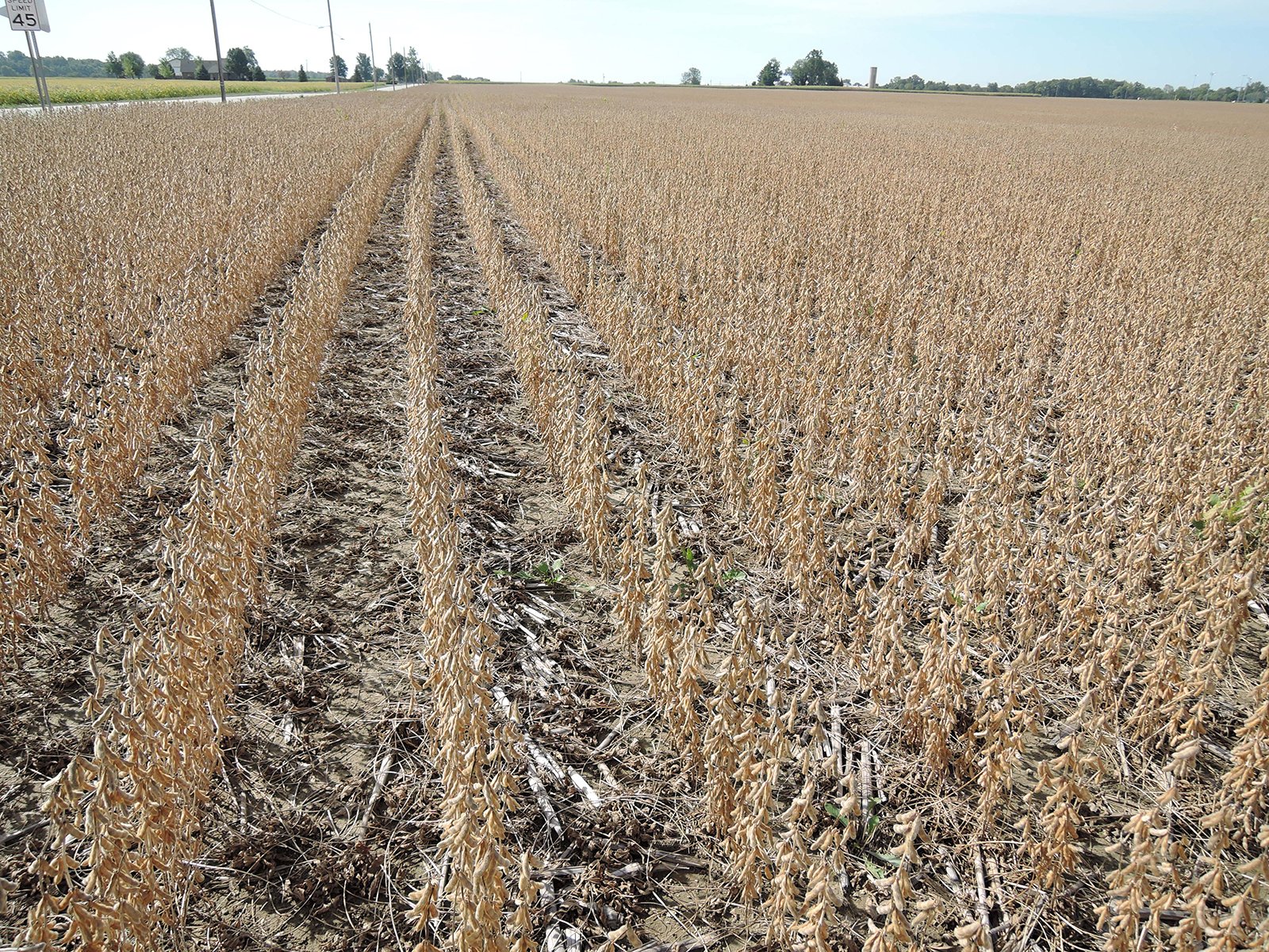 Property photo 36 - LAND AUCTION - 269.6+/-ACRES OFFERED IN 5 TRACTS IN MADISON COUNTY, INDIANA