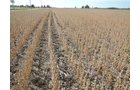 Property photo 36 - LAND AUCTION - 269.6+/-ACRES OFFERED IN 5 TRACTS IN MADISON COUNTY, INDIANA