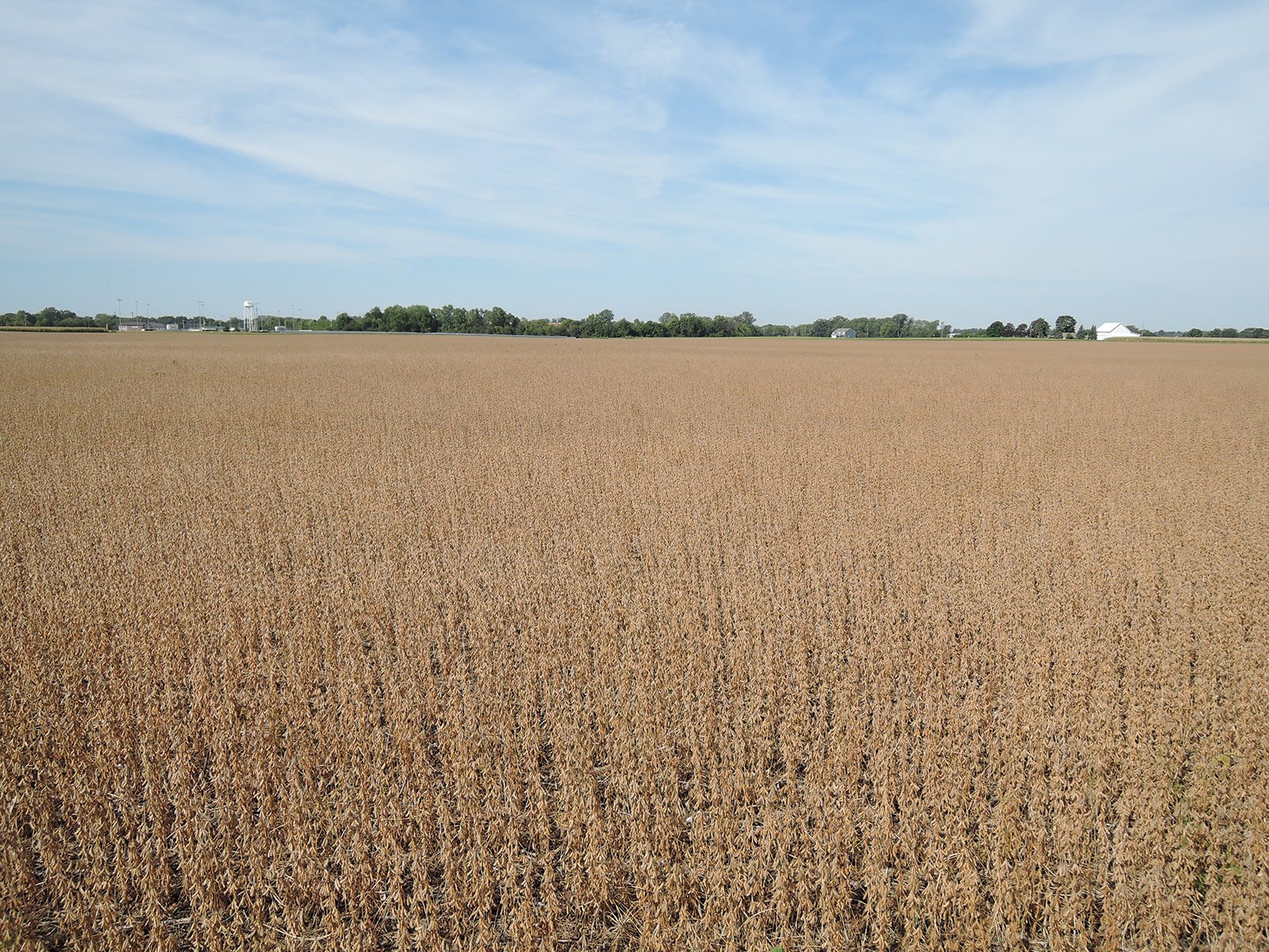 Property photo 37 - LAND AUCTION - 269.6+/-ACRES OFFERED IN 5 TRACTS IN MADISON COUNTY, INDIANA