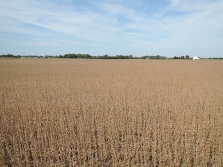 Property photo 37 - LAND AUCTION - 269.6+/-ACRES OFFERED IN 5 TRACTS IN MADISON COUNTY, INDIANA