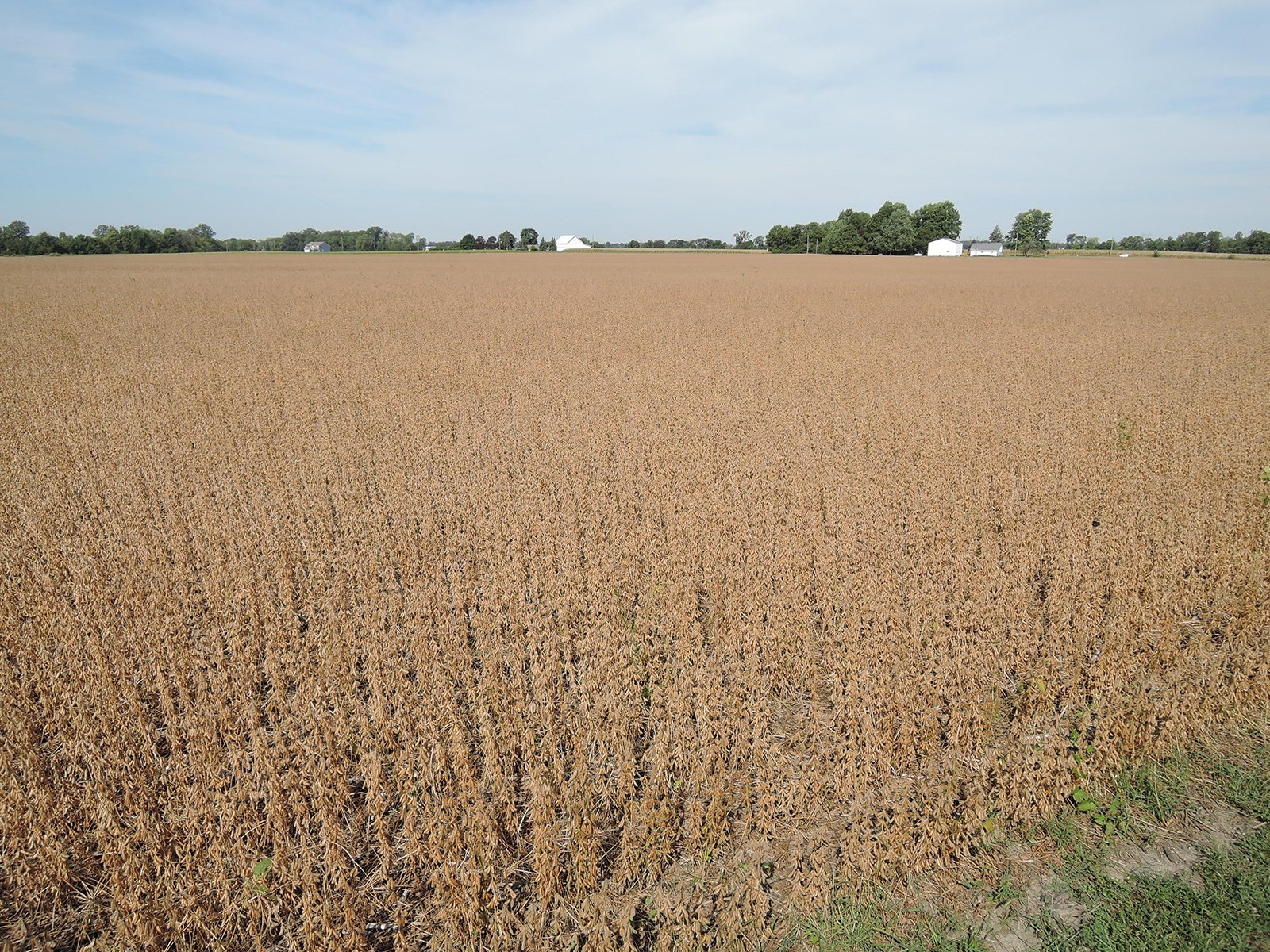 Property photo 38 - LAND AUCTION - 269.6+/-ACRES OFFERED IN 5 TRACTS IN MADISON COUNTY, INDIANA