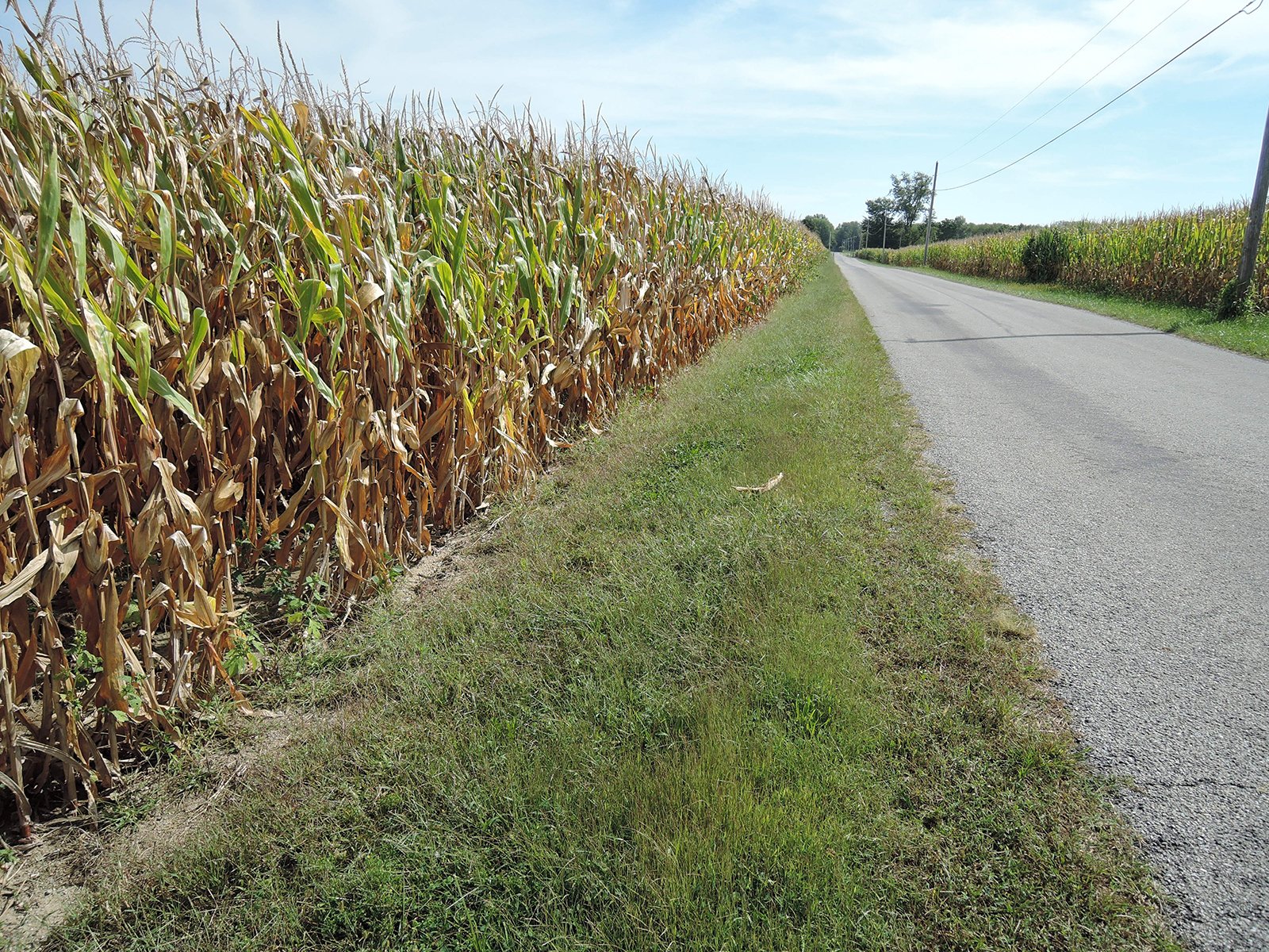 Property photo 51 - LAND AUCTION - 269.6+/-ACRES OFFERED IN 5 TRACTS IN MADISON COUNTY, INDIANA