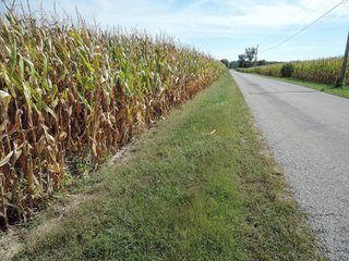Property photo 51 - LAND AUCTION - 269.6+/-ACRES OFFERED IN 5 TRACTS IN MADISON COUNTY, INDIANA