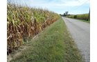Property photo 51 - LAND AUCTION - 269.6+/-ACRES OFFERED IN 5 TRACTS IN MADISON COUNTY, INDIANA